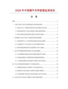 2026年中国扁平吊带数据监测报告.docx