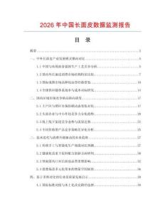 2026年中国长面皮数据监测报告.docx