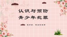 《预防未成年人犯罪》ppt课件(图文)
