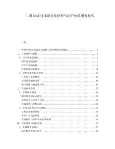 中国VRAR技术商业化进程与用户体验研究报告.docx