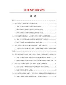 20重构的深度研究.docx