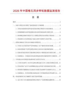 2026年中国锥孔同步带轮数据监测报告.docx