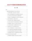 2026年中国输送滚道数据监测报告.docx