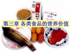 各類食物的營養價值