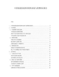 中国免税渠道唇彩销售表现与消费特征报告.docx