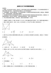 徐州市2027年中考数学模试卷（含答案解析）