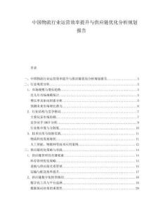 中国物流行业运营效率提升与供应链优化分析规划报告.docx