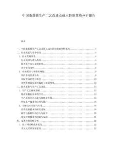 中国番茄酱生产工艺改进及成本控制策略分析报告.docx
