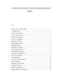 中国电子特气行业进口替代空间与技术创新方向分析报告.docx