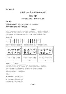 2026年青海省中考语文真题卷（含答案与解析）