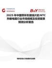 2025年中国带环形接线片的NTC 热敏电阻行业市场规模及投资前景预测分析报告