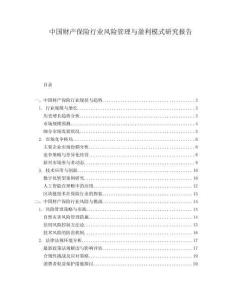 中国财产保险行业风险管理与盈利模式研究报告.docx