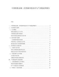 中国铂族金属二次资源回收技术与产业链延伸报告.docx