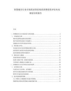智慧城市行业市场需求供给现状消费投资评估布局规划分析报告.docx