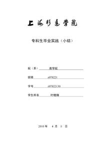 002：上海杉达学院专科生毕业实践(小结)