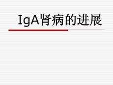IgA肾病.ppt
