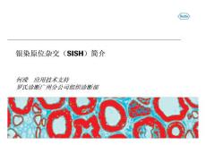 銀染原位雜交（SISH）簡介