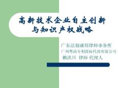 高新技术企业自主创新与知识产权战略