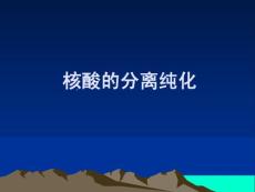 核酸的分離純化