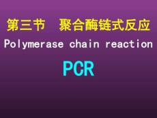 聚合酶鏈反應PCR