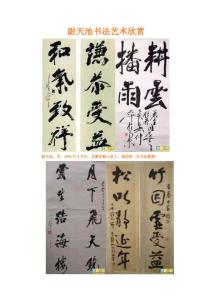 尉天池书法艺术欣赏/21幅