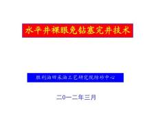 水平井裸眼免鉆塞防砂技術(shù)