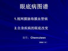 眼底病图谱.ppt