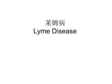 莱姆病-Lyme Disease.ppt