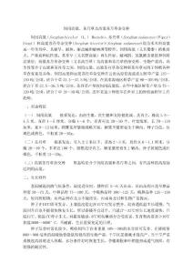 飼用高粱、蘇丹草及高粱蘇丹草雜交種種植技術(shù)