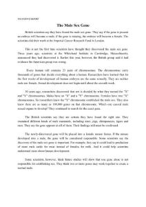 The male sex gene text