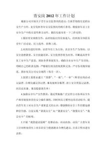 青安岗工作计划