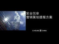 易居中国-上海紫金悦章营销策划提报方案-132PPT-2008年