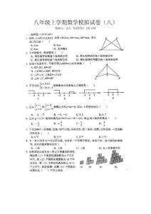 八年级上学期数学模拟试卷（八）