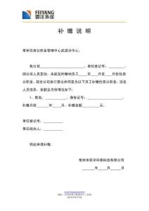 补 缴 说 明