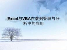 Excel与VBA在数据管理与分析中的应用