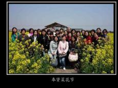 奉賢菜花節(jié)【共享精品-ppt】