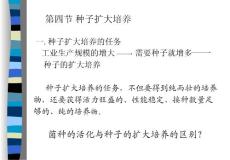 第四節 種子擴大培養 一. 種子擴大培養的任務 工業生產規模的...【共享精品-ppt】