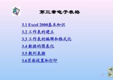 第三章電子表格【共享精品-ppt】