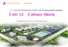 高一英语北师大版必修4 精品训练课件 unit 12 communication workshop