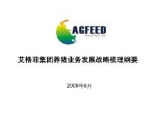 附件5：集團戰(zhàn)略-養(yǎng)豬