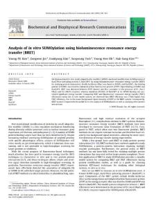 Analysis of in vitro SUMOylation using bioluminescence resonance energy transfer (BRET).