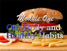 高二英语外研版必修2Module1 Our body and Healthy habits