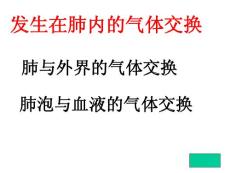 人教,七年级,下册,生物,课件 发生在肺内的气体交换3