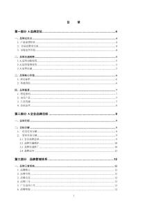 某品牌管理詳細(xì)策劃