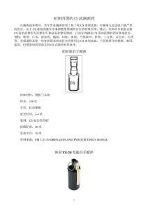 亚洲四国的CS武器弹药B