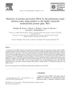 Detection of porcine parvovirus DNA by the polymerase chain