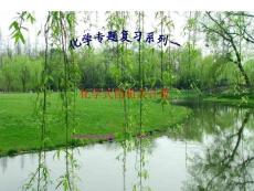 初中化学式计算复习