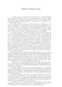 水利监理工程师年度工作总结