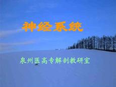 下行纤维束脊髓小脑后束脊髓小脑前束脊髓丘脑前束皮质脊髓前束薄 b...b