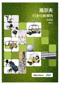 高尔夫行业分析报告2012,12